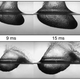 Illustration for article titled Scientists Made the Perfect Skipping Stone and Skipped It Across Their Lab
